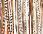 Natural Brown 3 Feather Hair Extension LONG Loose - Salon Grade : FREE micro link clamp