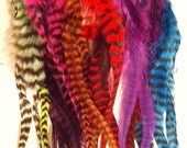 SALE 100 Fluff RAINBOW rare Grizzly Loose Whiting Rooster Saddle Feathers - Make Your Own Feather Extensions and Crafts