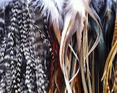 Sale 100 Fluff Natural rare Grizzly Loose Whiting Rooster Saddle Feathers - Make Your Own Feather Extensions and Crafts