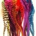 SALE 100 Fluff RAINBOW Grizzly pink purple blue green Whiting Rooster Saddle Feathers - Make Your Own Hair Feather Extensions craft earrings