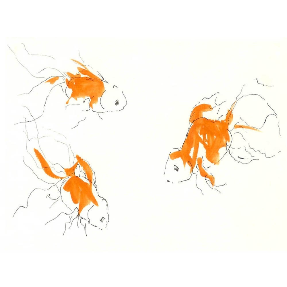Goldfish - 6 x 8