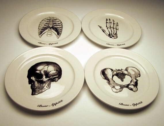 EveryDay with Rachael Ray BONE APPETIT 9 inch dinner plates
