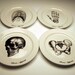 EveryDay with Rachael Ray BONE APPETIT 9 inch dinner plates