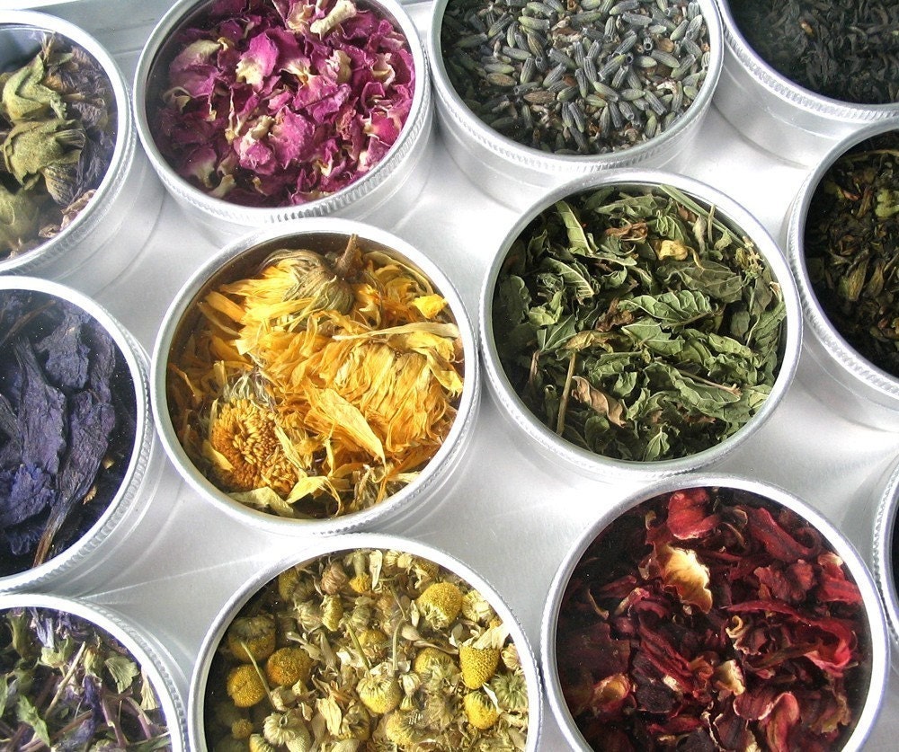 large herbal tea kit in a brushed aluminum box. a beautiful gift for a tea lover.
