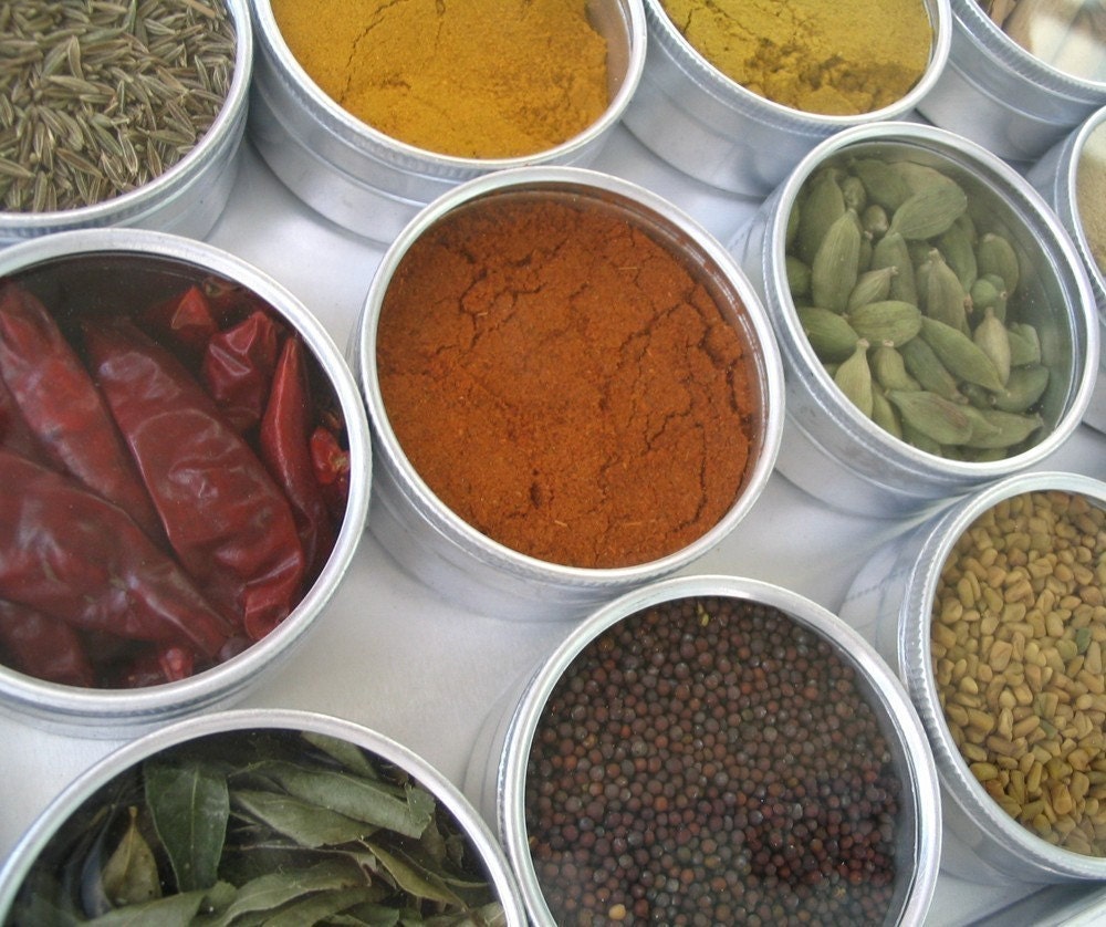 Indian spice kit in a brushed metal storage case - set of 15 - recipes included. the flavors of India at home in your kitchen.