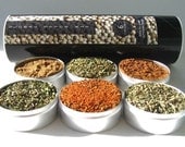 global blends spice kit -  favorite flavors from around the world - gift set for the world cook