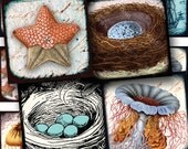Nature's Viewfinder 7/8 inch squares -- Two Digital Collage Sheets in One -- piddix no. 839