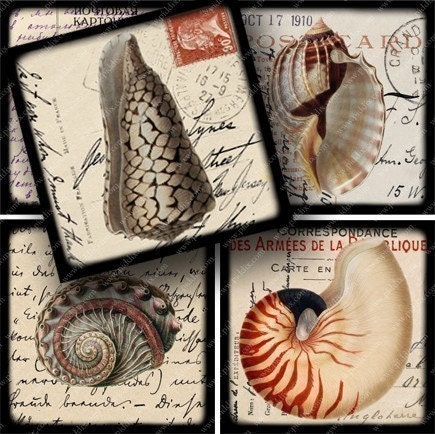 Black Framed Seashell Engravings on Postcards in 2.5 in squares -- piddix digital collage sheet no. 628