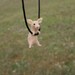 Tiny Pig Necklace - needle felted