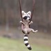 Tiny Raccoon Necklace - needle felted