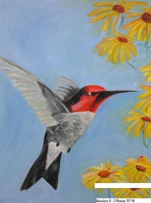 1 Humming Bird Greeting Card with Envelopes Included