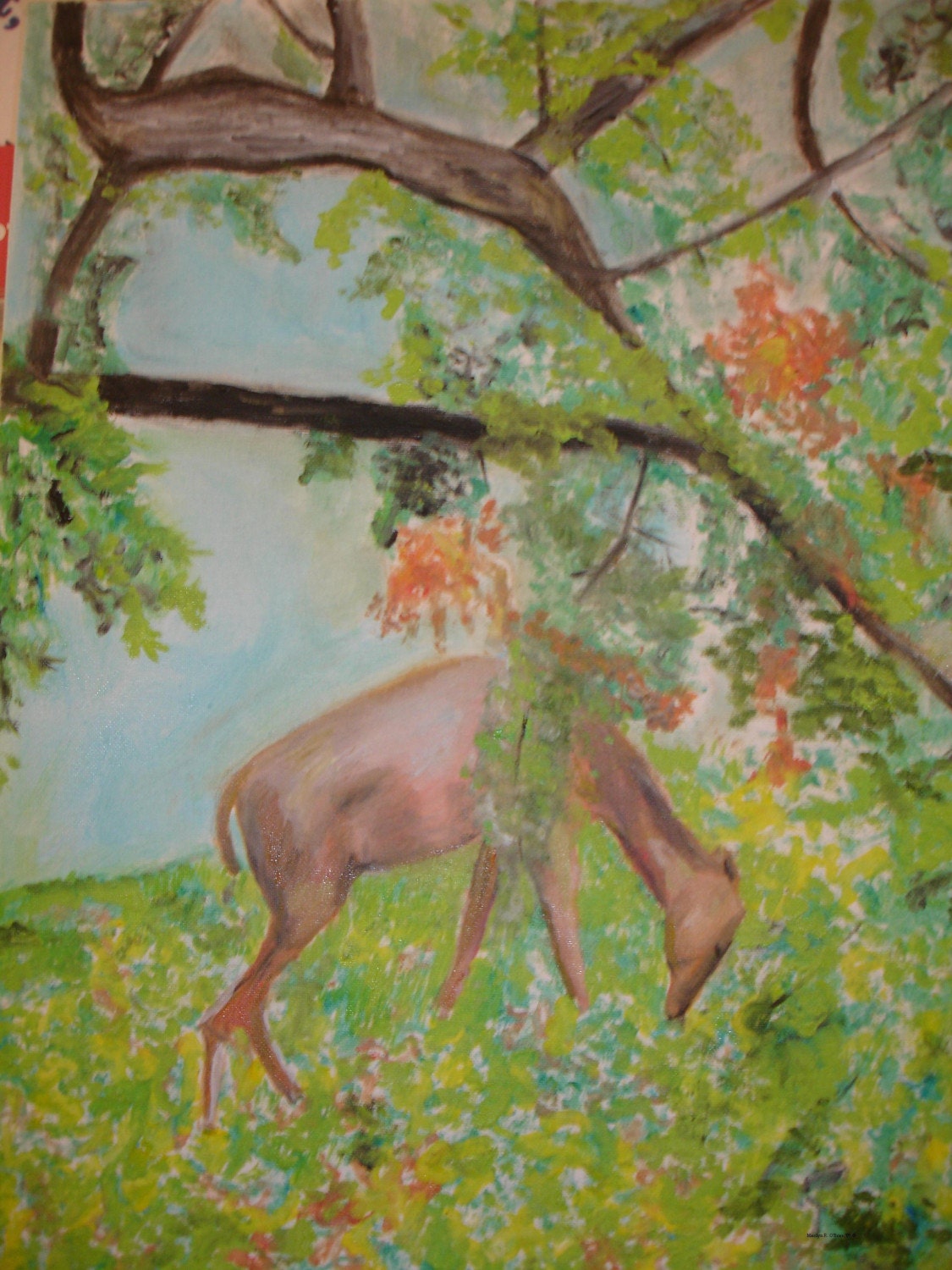 Deer in Early Spring 8 and one half by  11 Print