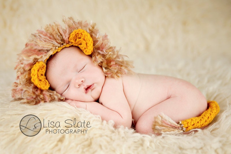 newborn photography prop lion hat and tail set