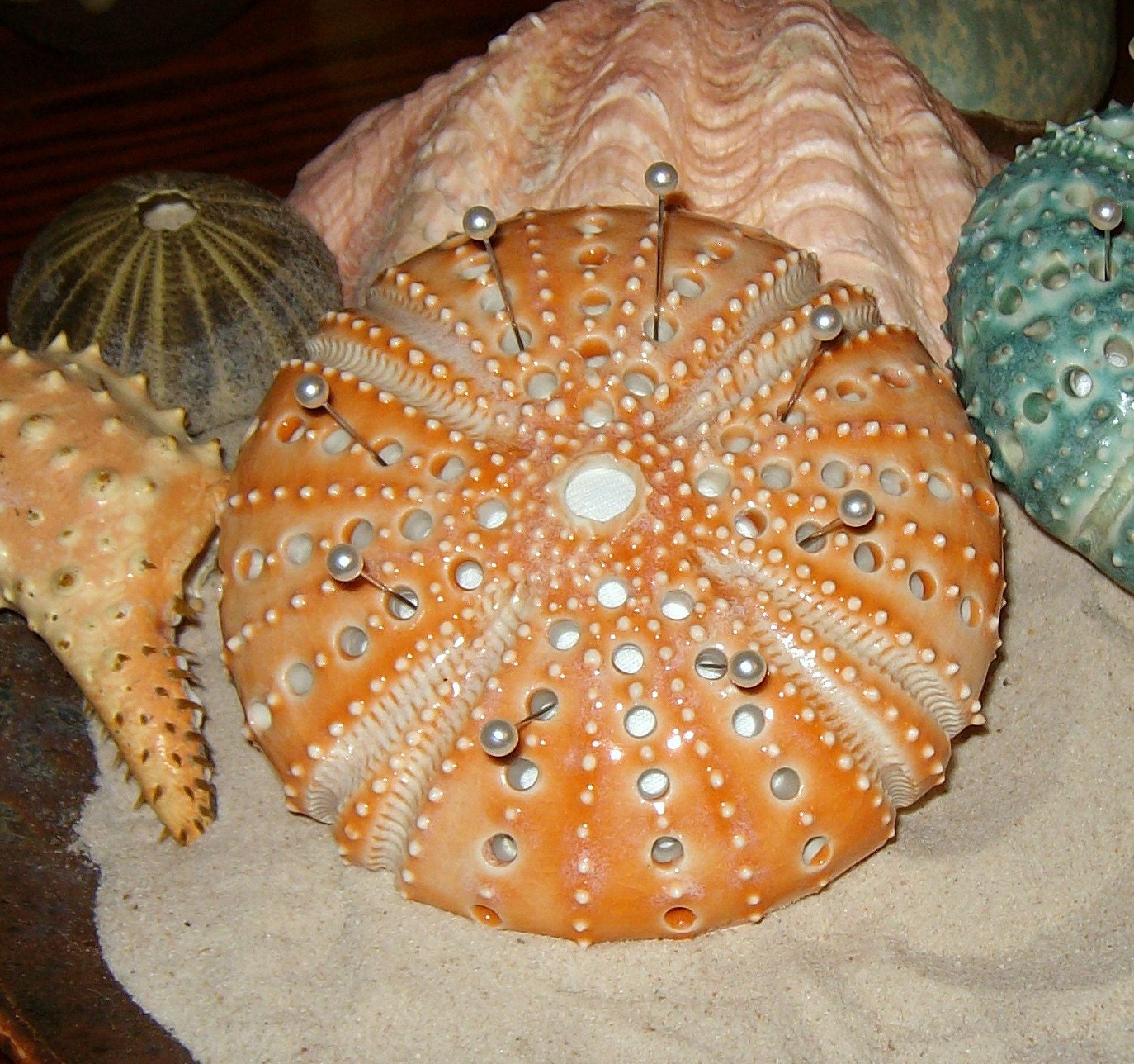 orange creamsicle pincushion sea urchin shape pin cushion- handmade stoneware pottery by Earth N Elements Pottery