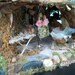The Fairy Castle