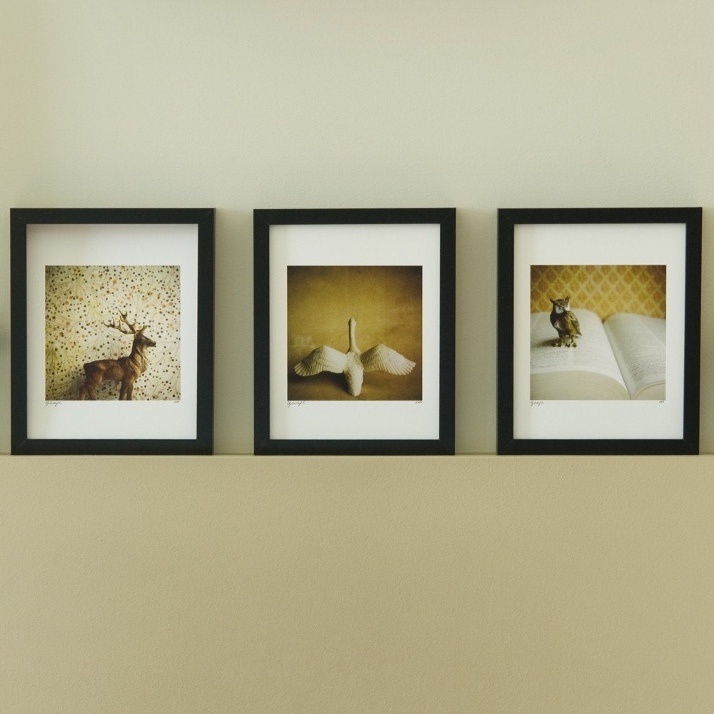 Gnome 6x6 Print