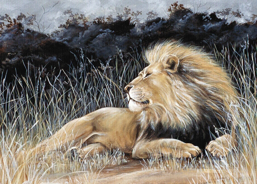 MY TURF  lion 5 x 7 inch print limited edition