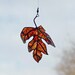 Painted Maple Leaf from Newcastle Ale