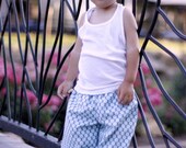BOY/GIRL - Samurai PANTS - Amy Butler - Wallflower - 2 years of Fashion - Pick the size Newborn to 8 Years by Boutique Mia