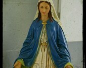 Kitchen Madonna Statue TTV Photograph -  8x8 Metallic Print