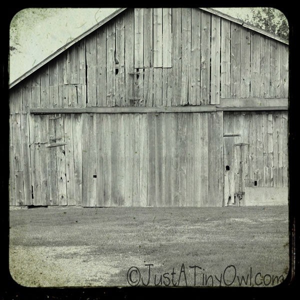 Black and White Indiana Barn TTV Style Metallic 8x8 Photograph - ItsJustATinyOwl