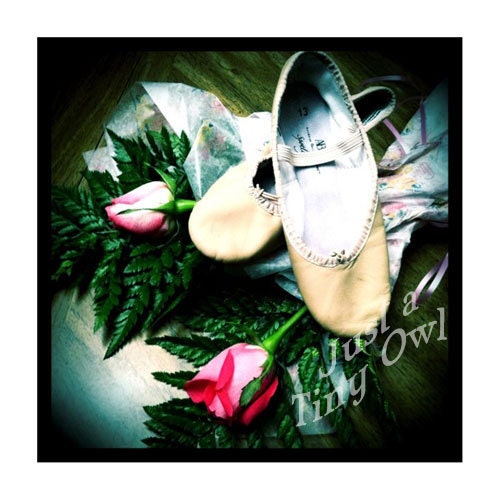 After The Recital 5x5 Metallic Photograph