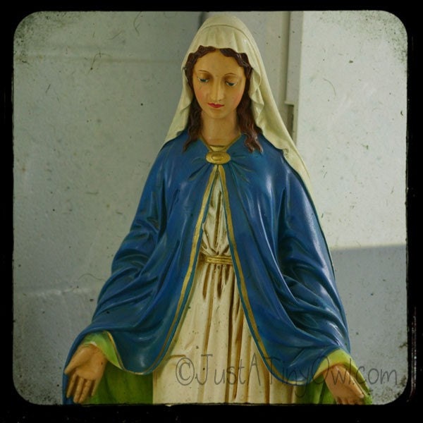Kitchen Madonna Statue TTV Photograph - 8x8 Metallic Print