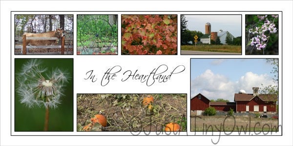 In the Heartland - 10x20 Storyboard of the Midwestern United States