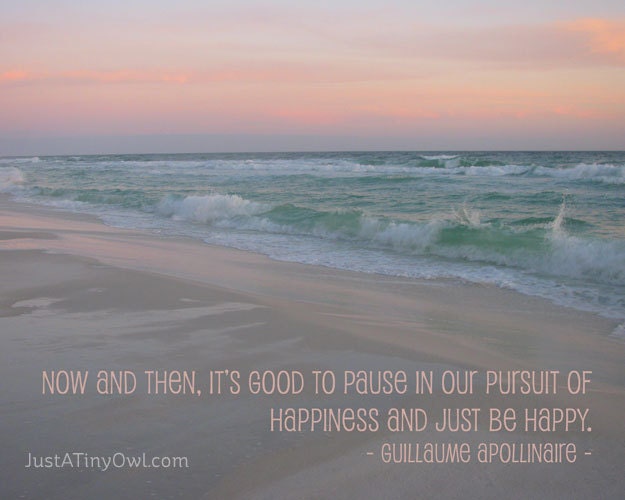 Pause in Our Pursuit of Happiness and Just Be Happy - 8x10 Photographic Art Print on Metallic Paper
