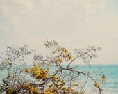 Abstract Fine Art Photograph, Tree with Yellow Leaves on the Shore, Golden, Teal, Ocean, Beach Art, Home Decor, Wall Art, 8x10Print