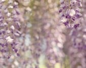 Floral Fine Art Photograph, Purple Wisteria, Flowers, Summer, Pretty, Hazy Tones, Botanical Garden, Nature, Pretty Art, Dreamy, 8x10 Print