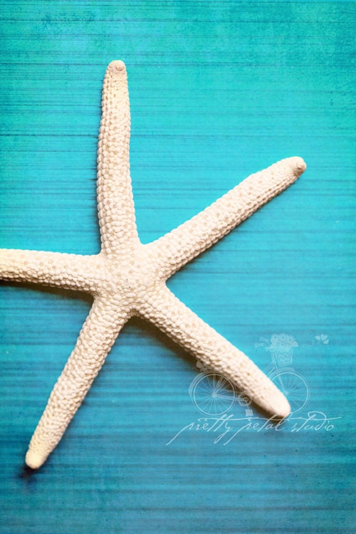 White Starfish on Turquoise Blue Background, The Sea, Abstract Photo, Pretty Tones, Beach Art, Fine Art Photograph, 5x7 Print - PrettyPetalStudio