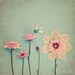 Abstract Fine Art Photograph, Mixed Media Garden, Pink Flowers, Textures, Bird Embellishment, Doily, Home Decor, Whimsical Art, 8x8 Print