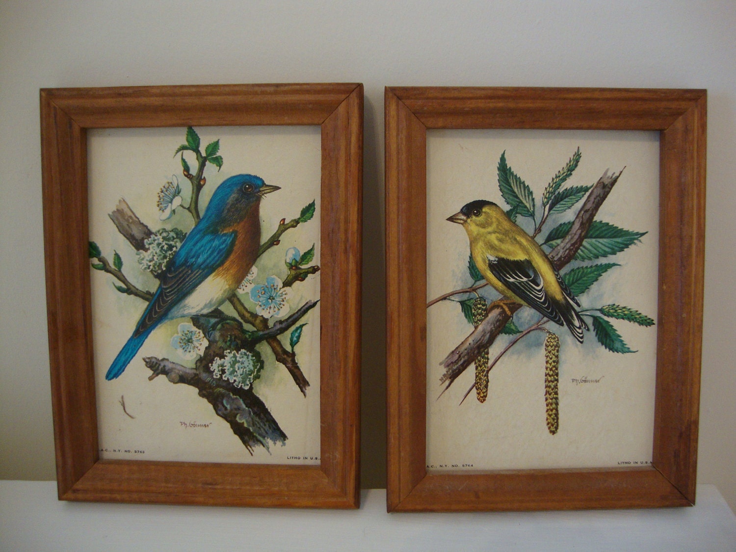 Vintage Ph Gonner Lithographs Goldfinch and Bluebird Framed Prints