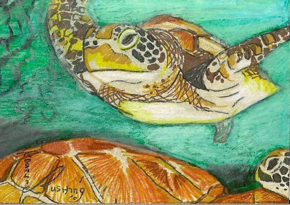 Marine Life Turtle