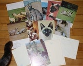 Siamese kitties cats retro cards set of 11 upcycled recycled note set