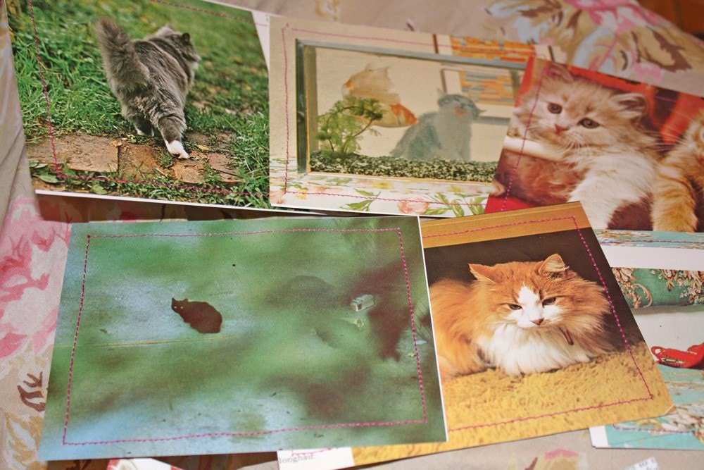 Retro cat butt card set cute fluffy kittens 12 flat cards with envelopes