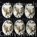 Butterfly Portrait Cameo Ivory on Hazy Green Background Set Of Six