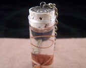 Snake Fetus Necklace