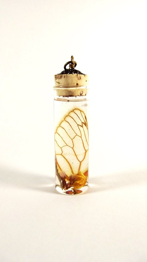 Cicada Wing Pendant SP2