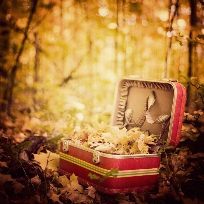 Vintage Red Suitcase, Fall Photography, Yellow Leaves, Forest Print, Forest Photograph, Jewel tones, Thanksgiving - Sentimental Journey - EyePoetryPhotography
