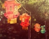 Paper Chinese Lanterns Glowing in Sunlight - Magic lanterns - Autumn, Fall Colors, End of Summer, Fine Art Print
