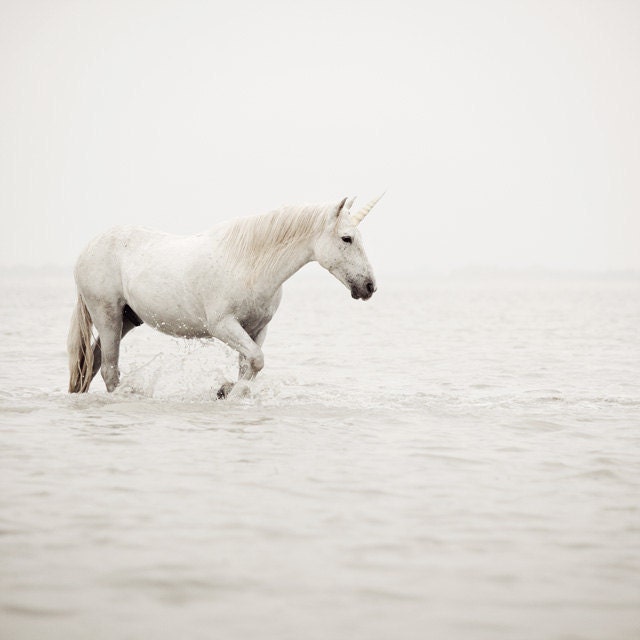 Unicorn Photograph, Surreal Photography, Nursery Art in Neutral White Cream, Fairytale, Winter, Fantasy, Nature, Dream - Before the Flood