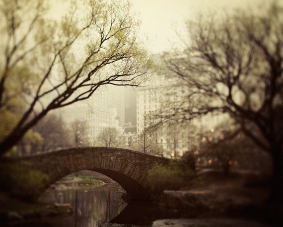 Fairytale of New York Photography, Central Park in Fog, NYC Photo, Spring, Mad Men, Bridge, Fine Art Print, Coffee Brown