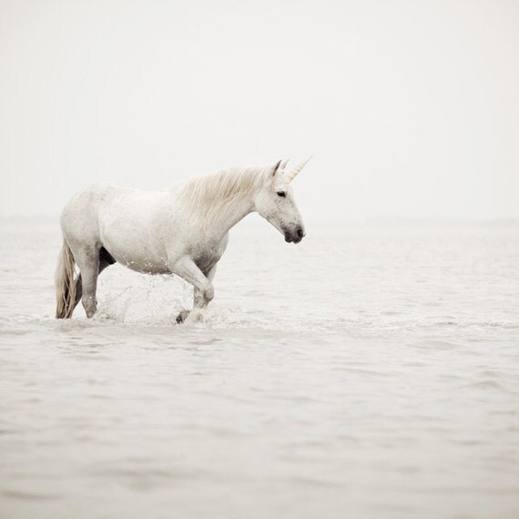 Unicorn Photograph, Surreal Photography, Nursery Art in Neutral White Cream, Fairytale, Winter, Fantasy, Nature, Dream - Before the Flood