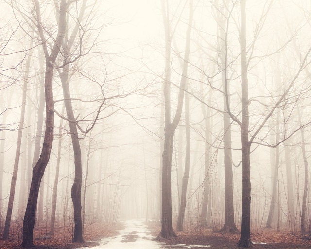 Landscape Photography, Trees in Pale Fog, Forest Photograph, Pastel, Enchanted Woodland, Fairytale, Rustic Wall Art - The Bush of Ghosts
