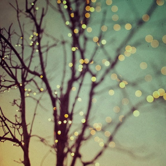 Christmas Lights, Winter Photography, Bare Trees, Blue Green Grey Silver, Four Fine Art Prints  - Night Lights