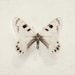 Wings - Butterfly Photography, Nature Photograph, Four 5x5 fine art prints in neutral beige and brown, Spring, White