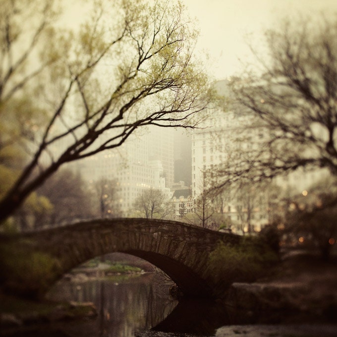 Fairytale of New York Photography, Central Park in Fog, NYC Photo, Spring, Mad Men, Bridge, Fine Art Print, Coffee Brown
