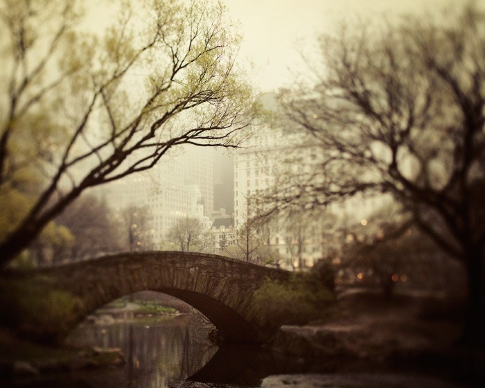 Fairytale of New York Photography, Central Park in Fog, NYC Photo, Spring, Mad Men, Bridge, Fine Art Print, Coffee Brown